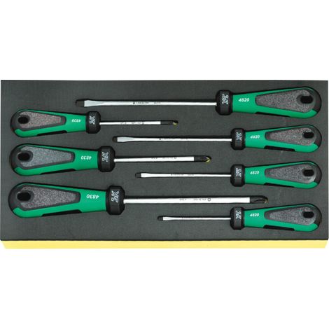 Stahlwille TCS 4820/4830 Schraubendrehersatz 3K DRALL 7 tlg. in TCS Einlage (1/4)
