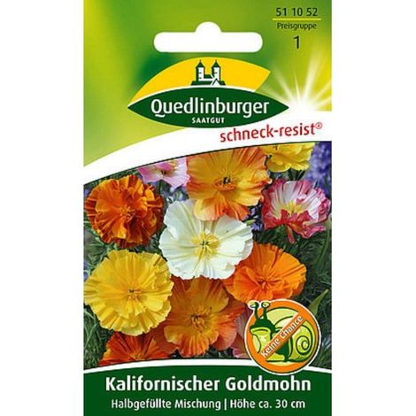 Quedlinburger Kalifornischer Goldmohn Halbgefüllte Mischung - Blumensamen (1/2)