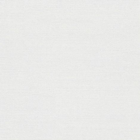 Vliestapete - Forest Dreams - Grau Uni Einfarbig Erismann - 1056301 (1/5)