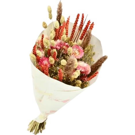 Bouquet de Fleurs séchées Dandy Rose Orange 50 cm