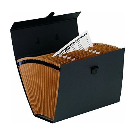 Fellowes Fächertasche R-Kive Organizador de escritorio negro (1/4)
