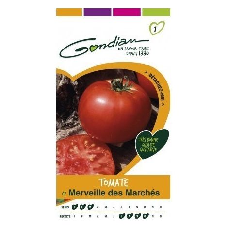 Gondian - Tomate Merveille des Marches