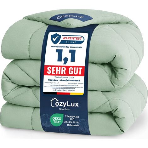 Couette 220x240 cm Vert Sauge pour Lit 2 Personnes (1/5)