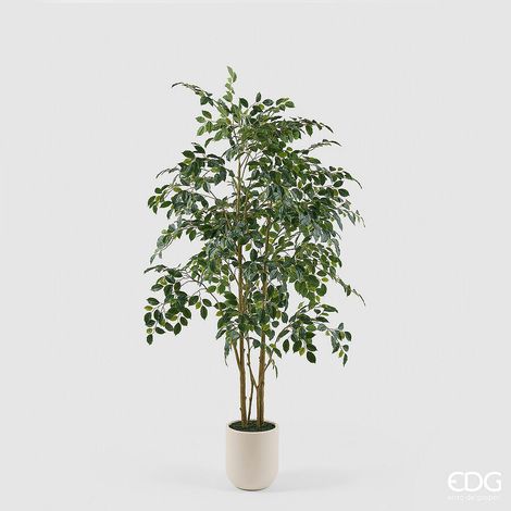 EDG Enzo De Gasperi Pianta Artificiale Ficus Beniamino Vogue con Vaso H180 cm – Pianta Decorativa Realistica Design Moderno