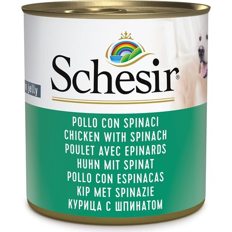 Schesir, Cibo Umido per Cani Adulti al Gusto Pollo con Spinaci, Filetti in Morbida Gelatina - Totale 4,56 Kg (16 Lattine da 285G) (1/4)