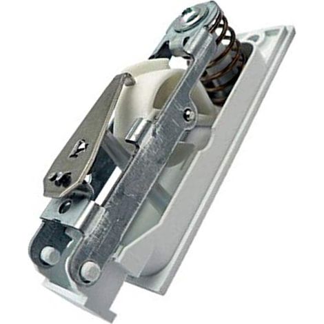 Ersatzteil - Serrure de porte -  - BRANDT, VEDETTE, FAGOR, THOMSON, SANGIORGIO, DE DIETRICH, EDESA, CRYSTAL, DOMEOS, HELKAMA