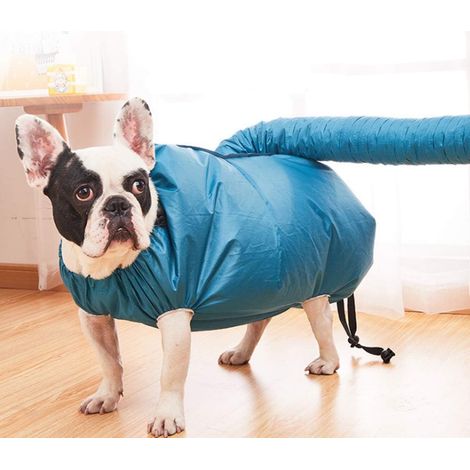 (L) Sac souffleur pour chien   Douche pour animaux de compagnie, bain, séchage rapide des poils, outil de toilettage pour bouledogue, corgi, beagle, chiot