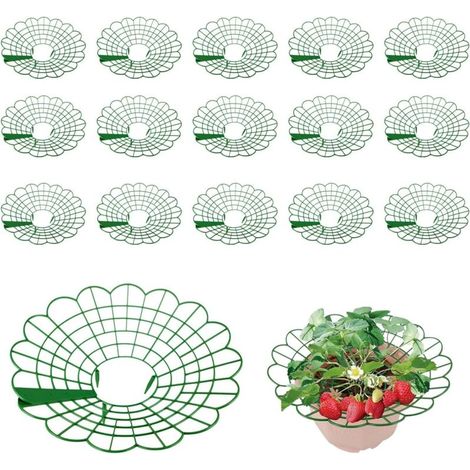 16 pièces Support de Fraises,Plastique Amovible Support Fraise, Supports de fraises vertes pour plantes, Protégez les fraises (1/4)