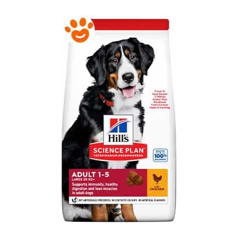Hills Dog Science Plan Adult Large Breed Pollo - Sacco 12 Kg -