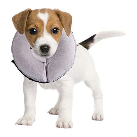 Cône gonflable Emwel pour chien et chat - Taille S (1/5)