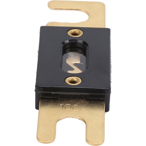 Fusible à lame ANL 100 A, type à boulonner, 1224 V CC, universel pour voitures, camions, camping-cars et pièces de batterie automobile (1/5)