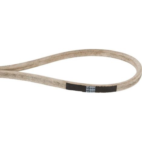 Cinghia trapezoidale AYP 532009180