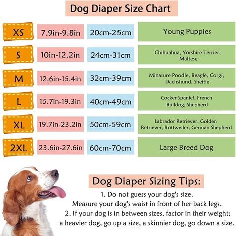 Pantalon pour Chien, Couches pour Chien avec Serviettes hygiéniques, Pantalon de Protection réglable pour chiennes en Chaleur, saignement mensuel (2XL) (1/4)