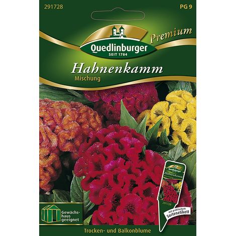 Quedlinburger Hahnenkamm Mischung - Blumensamen