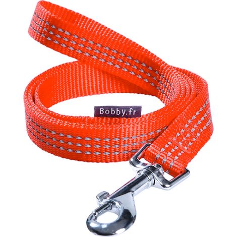 Guinzaglio aglio Safe 2,5x100cm Rosso: Guinzaglio in Nylon Modello Safe per Cani (1/5)