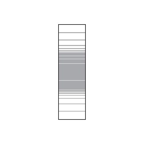 VETRO Glasscheibe Str.Dekor 86 B 515 x H 1800 mm satin. 68304