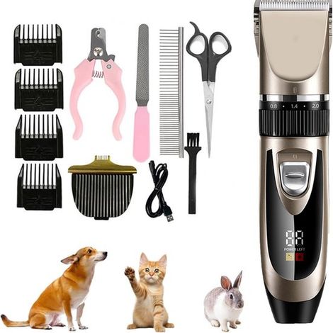 Kit de tondeuse électrique professionnelle pour animaux de compagnie - Rechargeable par USB - permet une coupe complète et partielle (1/5)