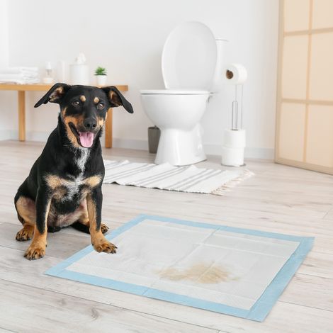 Dog Pads 80 Unités Design Couches Surface Étanche Séchage Rapide Bleu 60x60cm (1/4)