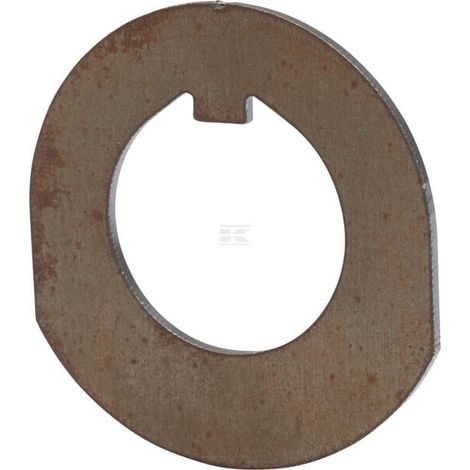 Lamiera di sicurezza diametro 24X1,5 V&N VOGEL & NOOT VNRZ2423306 (1/2)