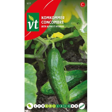 Concombre Beth Alpha F1 Hybride - Ca. 1 gr (Livraison Gratuite) (1/2)