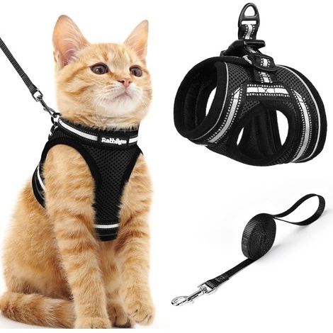 Harnais Chat avec Laisse, Harnais Chaton Respirant et Bande Réfléchissante Gilet Petit Chien Réglable Noir M Collier Animal Facile à Mettre pour Persan Ragdoll American Shorthair Chiot Lapin (1/5)