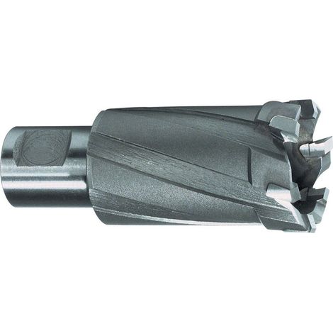 RUKO  Broca  anular  Weldon  HM  Ø  23  mm  108723 (1/2)