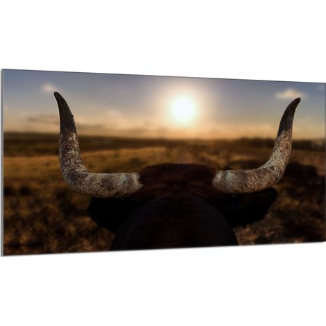 Glasschutzplatte für den Herd 90x52 Sun (1/5)