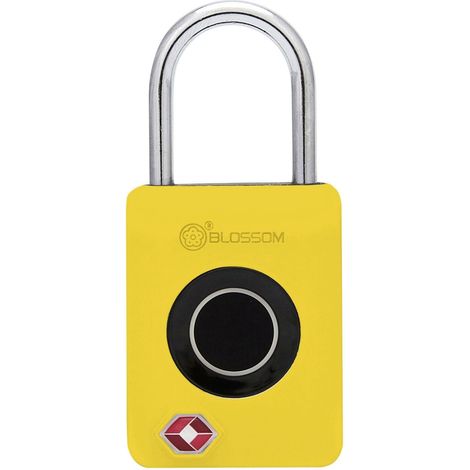 Südmetall Vorhängeschloss mit Fingerabdruck-Scan 30 x 18 mm Vorhangschloss