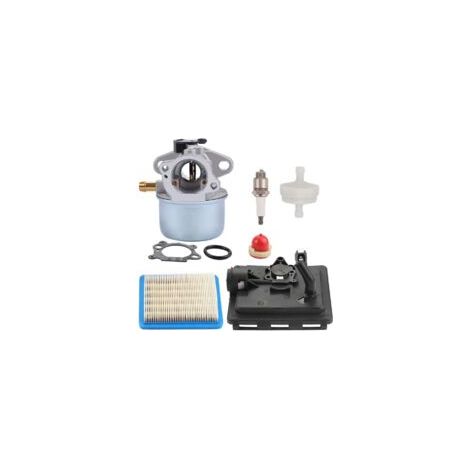 Carburatore 799868 con base filtro aria 498170. Compatibile con motori da 4 a 7 CV. Struttura robusta per prestazioni di lunga durata - 124t07 (1/5)
