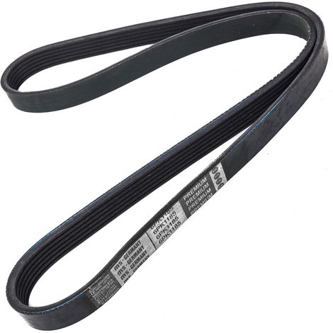 CINGHIA POLARE PK 6PK1175 (1/2)
