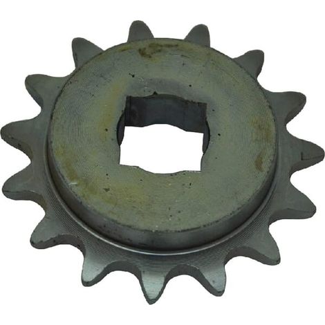Pignon GASPARDO G22250028R