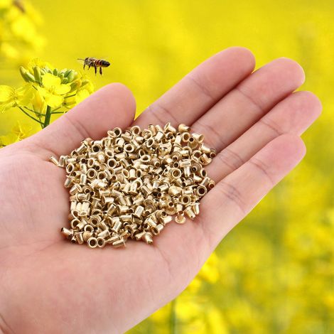 700 Gewindeösen für Bienenstock-Nistkastenrahmen, Imkerwerkzeug (1/5)