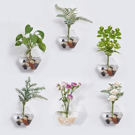 Terrarium en verre pour plantes suspendues (Hexagon) (1/5)