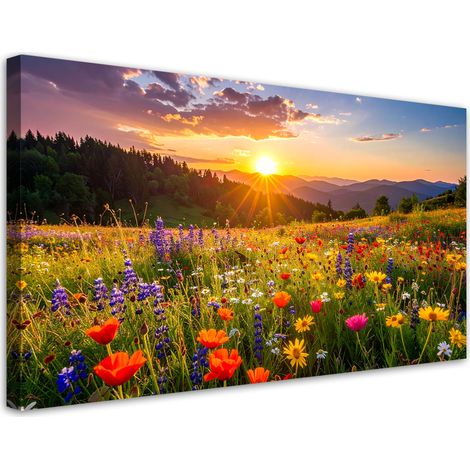 Wandbild Feldblumen auf der Wiese Natur 100x50 cm (1/5)
