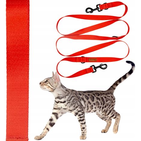 Laisse réversible, longueur variable, 240 cm, pour chats jusqu'à 10 kg, Ukory, rouge (1/5)
