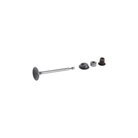 Einlassventil Briggs und Stratton - 590530