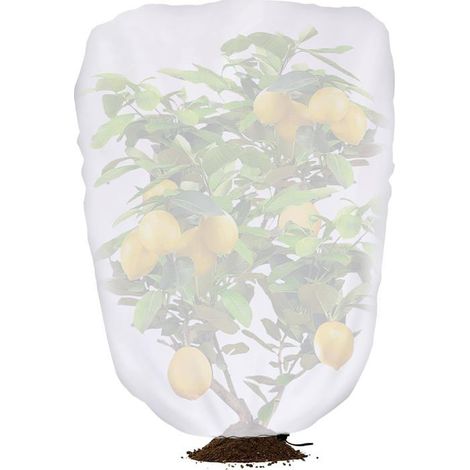 Housse d’ombrage anti-soleil 100 x 80 cm avec cordon, toile non tissée pour arbres fruitiers (1/5)