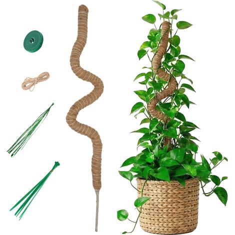 Tuteur Plante Grimpante Coco 120cm, Bâton Extra Épais et Pliable, Noyau Aluminium 7mm, Support Flexible Fait Main pour Grande Monstera (1/5)