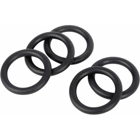 Anello tenuta 26,34 x 5,33 (5x)