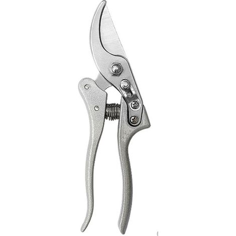 Sécateur - Lame Acier SK-5 - Coupe Jusqu'à 19 mm - Pour Taille Fruitiers et Arbustes - 1 Pièce
