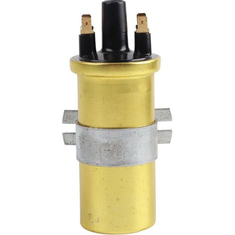 bobines d'allumage antirouille 12V norme OEM DLB105 diamètre 2,2 pouces pour voiture