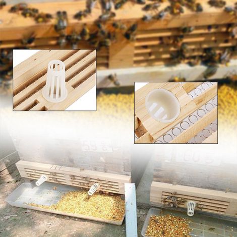 Vierreihige Pollensammelschale aus Holz, Pollenfalle, Imkerwerkzeug (1/5)