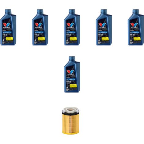 Kit filtro olio e 6L compatibile con Mercedes Classe A (W176) A200 BlueEfficency 115kw dal 2012 (1/3)