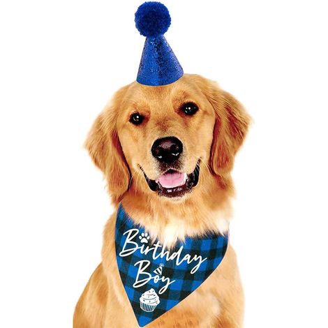 1 Bavoir à carreaux et chapeau d'anniversaire pour chien et chat, déguisement festif, accessoire pour fête d'anniversaire (1/5)