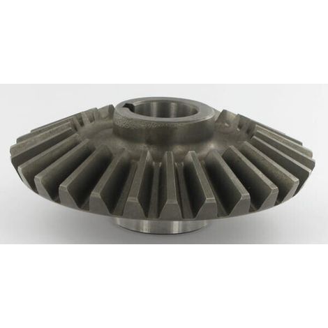 Rueda dentada 27D LELY 4101901930 (1/3)