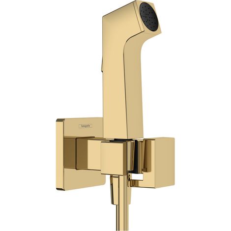 hansgrohe Bidette Douchette à main 1jet E EcoSmart pour eau