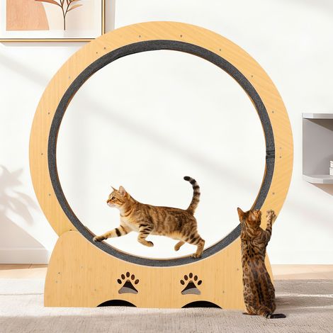 Roue XXL d’exercice pour chat 87 cm – Tapis antidérapant et silencieux – Accèsînement, course, perte de poids – Bois naturel – Adaptée à la plupart des races – Couleur bois naturel