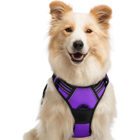 Arnés antitirones para perros, fácil de poner, chaleco reflectante ajustable, cierre frontal, Talla L, color azul pavo real (1/5)