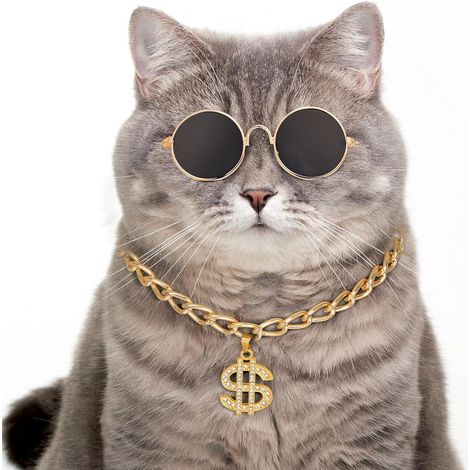 Collier à chaîne dorée pour animaux de compagnie — Avec pendentif symbole, collier en métal, accessoire de style cubain, convient aux chiens et chats de petite et moyenne taille (Taille M : 30–40 cm) (1/5)