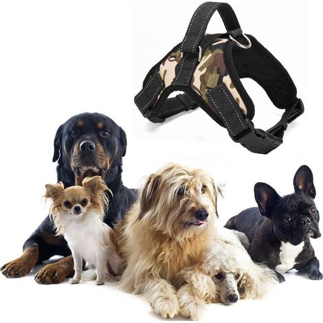 Pettorina Per Cani Imbracatura Taglia S Con Cinghie Regolabili (1/5)